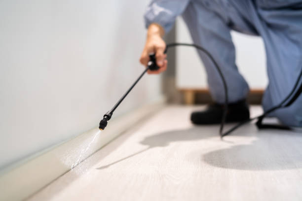 Licensed Wasp Removal service in Cadiz, OH - Show Me Pest Control