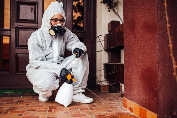 Reliable Wasp Removal contractor in Cadiz, OH by Show Me Pest Control